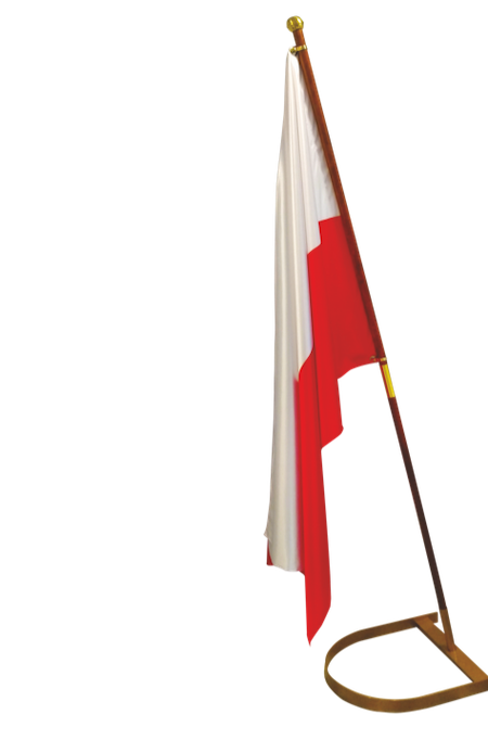 Flaga gabinetowa